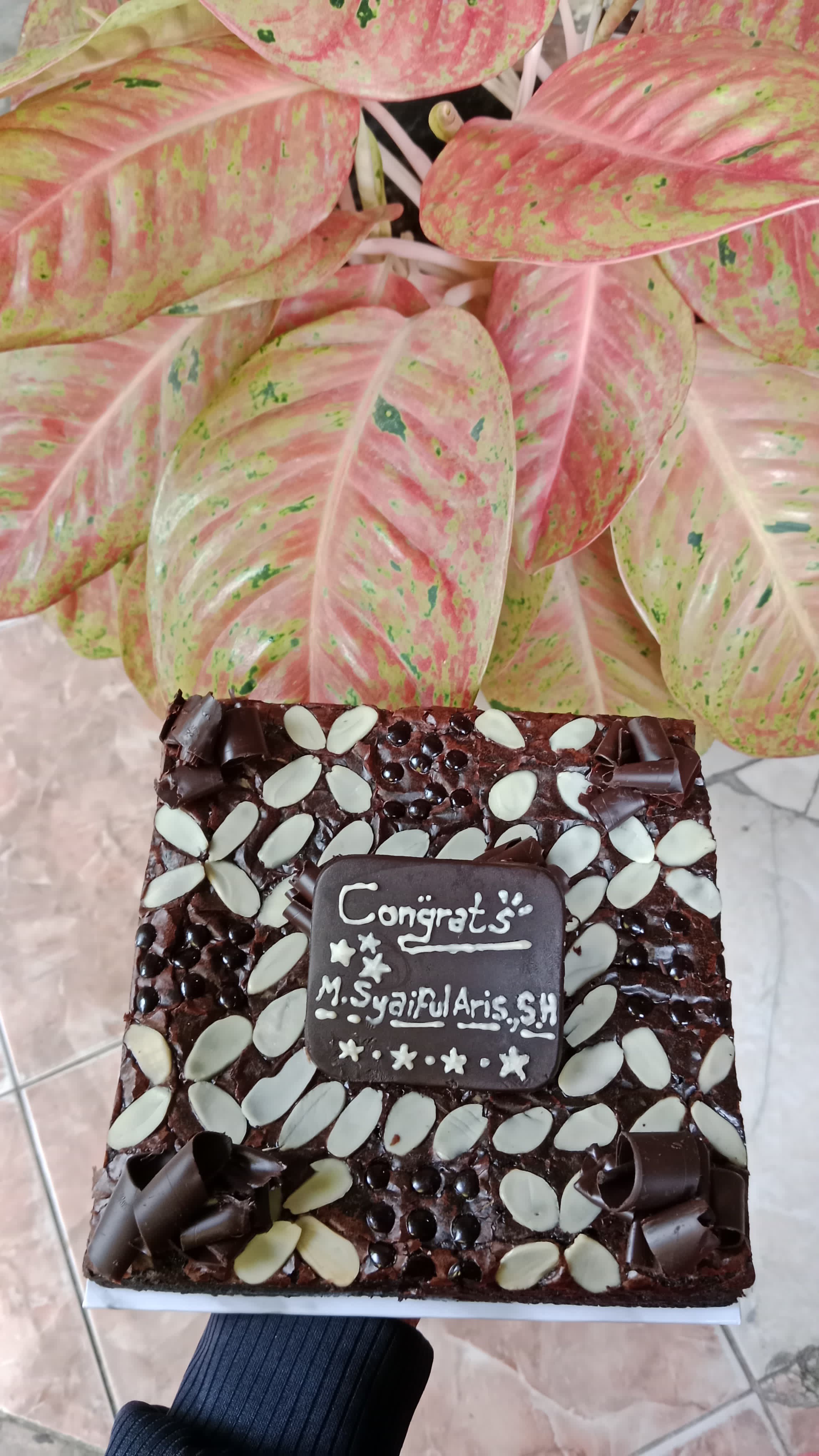 Brownies Cake Ori 18x18